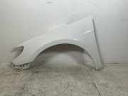 Kotflügel links vorne VW CC (35) 2.0 TDI 103 kW 140 PS (11.2011-12.2016) 3C882