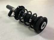 Federbein VW Tiguan I (5N) 2.0 TSI 4motion 132 kW 180 PS (05.2011-07.2018) 5WA
