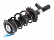 Federbein VW Passat B8 (3G) 2.0 TDI 110 kW 150 PS (11.2014-> ) 3Q0413032A