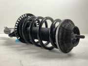 Federbein VW Transporter T5 Kasten 1.9 TDI 63 kW 86 PS (04.2003-11.2009) (04/2003-11/2009)