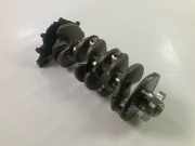 Kurbelwelle VW Transporter T6 Kasten 2.0 TDI 4motion 146 kW 199 PS (08.2018->