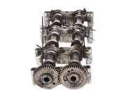 Nockenwelle VW Touareg III (CR7) 3.0 TDI 4motion 170 kW 231 PS (05.2018-> ) 05