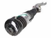 Federbein VW Touareg III (CR7) 3.0 TDI 4motion 170 kW 231 PS (05.2018-> ) 4M46