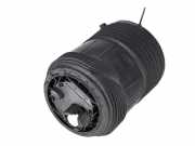 Federbein VW Touareg III (CR7) 3.0 TDI 4motion 170 kW 231 PS (05.2018-> ) 4M46