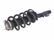 Federbein links vorne FORD Transit V363 Kasten (FCD, FDD) 2.2 TDCI RWD 92 kW 1