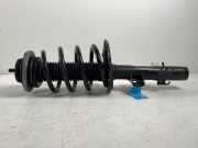 Federbein VW Transporter T5 Kasten 1.9 TDI 63 kW 86 PS (04.2003-11.2009) (04/2003-11/2009)