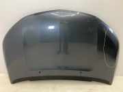 Motorhaube OPEL Ampera (D1JOI) EV150 111 kW 151 PS (11.2011-03.2015) 22806334
