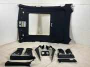 Himmel BMW X6 (G06, F96) xDrive 40d Mild-Hybrid 250 kW 340 PS (05.2020-> ) 987