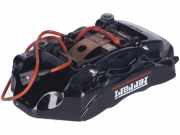 Bremssattel links hinten FERRARI 458 4.5 416 kW 566 PS (12.2009-> ) (ab 12/2009)
