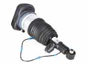 Federbein links hinten BMW X5 (G05, F95) 50e Plug-in-Hybrid xDrive 360 kW 489