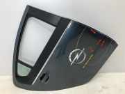 Tür rechts hinten OPEL Ampera (D1JOI) EV150 111 kW 151 PS (11.2011-03.2015) 22