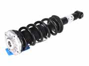 Federbein links hinten BMW X3 (G01, F97) xDrive 20d 140 kW 190 PS (08.2017-> ) (ab 08/2017)