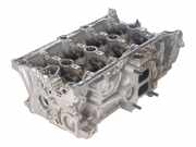 Zylinderkopf VW Tiguan II (AD) 2.0 TSI 4motion 140 kW 190 PS (09.2018-> )