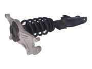 Federbein links vorne TESLA Model 3 (5YJ3) EV 239 kW 325 PS (12.2019-12.2022)