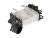 Ladeluftkühler VW Transporter T6 Kasten 2.0 TDI 110 kW 150 PS (04.2015-> ) 04L