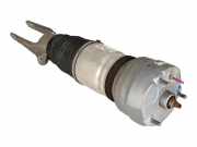 Federbein links vorne PORSCHE Panamera 1 (970) 4.8 Turbo S 419 kW 570 PS (07.2