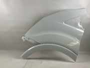 Kotflügel links vorne FORD Transit V363 2.0 TDCi