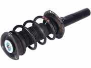 Federbein links rechts vorne VW Tiguan II 2 (AD)