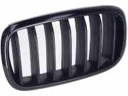 Kühlergrill links BMW X6 (F16, F86) M 50d 280 kW 381 PS (08.2014-05.2019) 7316