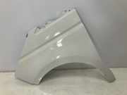 Kotflügel links vorne VW Transporter T7 Multivan 2.0 TDI 110 kW 150 PS (10.202