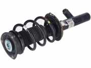 Federbein rechts vorne VW Tiguan II (AD) 5QF41331AC