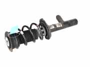 Federbein VW Tiguan I (5N) 2.0 TSI 4motion 132 kW 180 PS (05.2011-07.2018) (05/2011-07/2018)