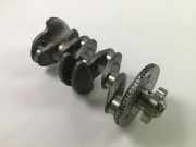 Kurbelwelle VW Polo VI (AW) 2.0 GTI 147 kW 200 PS (11.2017-> ) 06L105101F