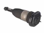 Federbein links hinten BMW 5er Touring (G31) 520d 140 kW 190 PS (03.2017-> )