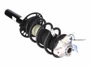 Federbein rechts vorne BMW X3 (G01, F97) xDrive 20d 140 kW 190 PS (08.2017-> )