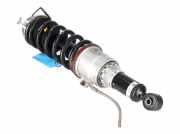 Federbein links hinten FERRARI GTC4 Lusso 3.9 T 449 kW 610 PS (10.2016-> ) 300