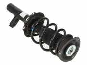 Federbein VW Golf VIII (CD) 1.0 TSI 66 kW 90 PS (02.2020-> ) (ab 02/2020)