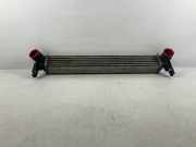 Ladeluftkühler SKODA Fabia II (542) 1.6 TDI 66 kW 90 PS (03.2010-12.2014) 6R01