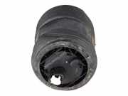 Federbein VW Touareg III (CR7) 3.0 TDI 4motion 170 kW 231 PS (05.2018-> ) 4M46