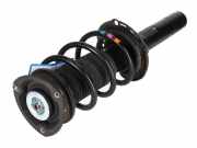 Federbein links rechts vorne VW Tiguan II 2 (AD)