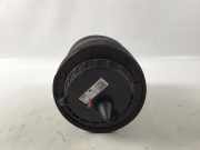 Stoßdämpfer links hinten AUDI E-TRON (GEN) Electric quattro 300 kW 408 PS (09.2018-> )