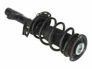 Federbein VW Golf VIII (CD) 1.0 TSI 66 kW 90 PS (02.2020-> ) (ab 02/2020)