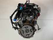 BLFB N0HA Motor Moteur Engine Komplett FORD Transit V363 Pritsche/Fahrgestell (F