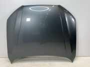 4H0823029H Motorhaube AUDI A8 (4H) 3.0 TDI quattro 190 kW 258 PS (10.2013-01.2
