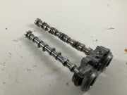 Nockenwelle VW Golf VIII (CD) 2.0 TSI R 4motion 235 kW 320 PS (09.2020-> ) 06Q