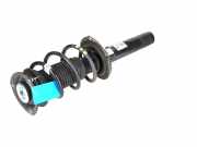 Federbein VW Tiguan I (5N) 2.0 TSI 4motion 132 kW 180 PS (05.2011-07.2018) 5QF