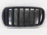 Kühlergrill BMW X5 (F15, F85)