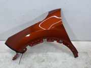 Kotflügel links vorne CITROEN C4 III (BA, BB, BC) e-C4 100 kW 136 PS (10.2020-