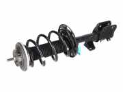 7T0413031AA Federbein VW Transporter T7 Multivan 1.5 TSI 100 kW 136 PS (10.202