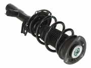 Federbein VW Golf VIII (CD) 1.0 TSI 66 kW 90 PS (02.2020-> ) (ab 02/2020)