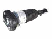 Federbein links hinten BMW X5 (G05, F95) xDrive 30d Mild-Hybrid 210 kW 286 PS (08.2020-> ) (ab 08/2020)