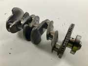 Kurbelwelle VW Tiguan II (AD) 2.0 TSI 4motion 140 kW 190 PS (09.2018-> ) 06L10