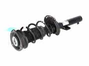 Federbein VW Polo VI (AW) 1.0 48 kW 65 PS (08.2017-> ) (ab 08/2017)