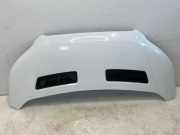 Motorhaube FORD Transit V363 Pritsche/Fahrgestell (FED, FFD) 2.0 TDCi 125 kW 1