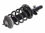 Federbein SONSTIGER HERSTELLER Sonstiges Modell Sonstiger Typ