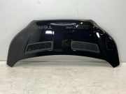 Motorhaube FORD Transit V363 Pritsche/Fahrgestell (FED, FFD) 2.0 TDCi 125 kW 1